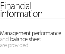 Financial information